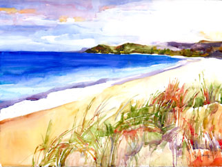 Tropical
                Paradise